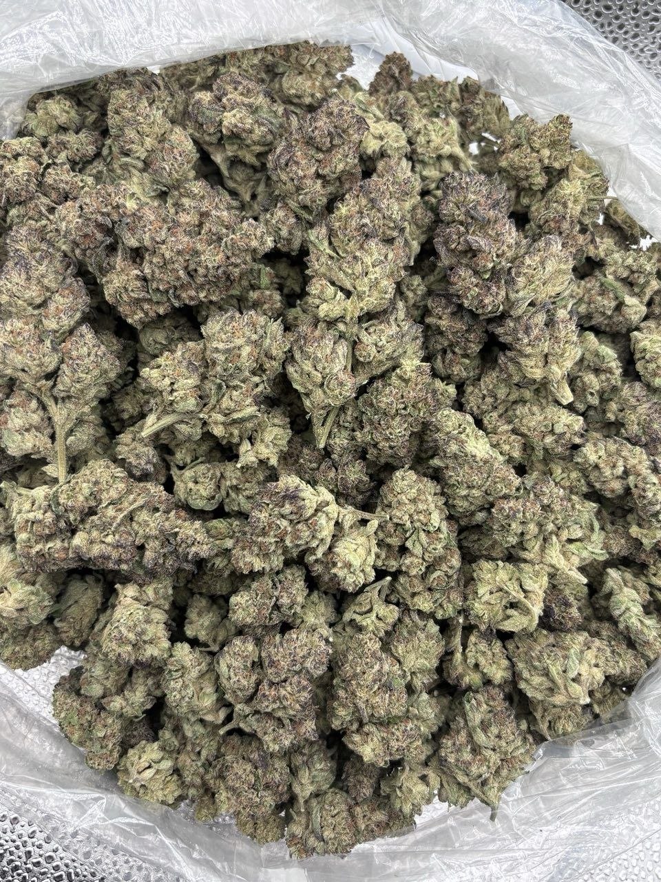 CHERRY 7UP🍒 - flower from Nobu Packs