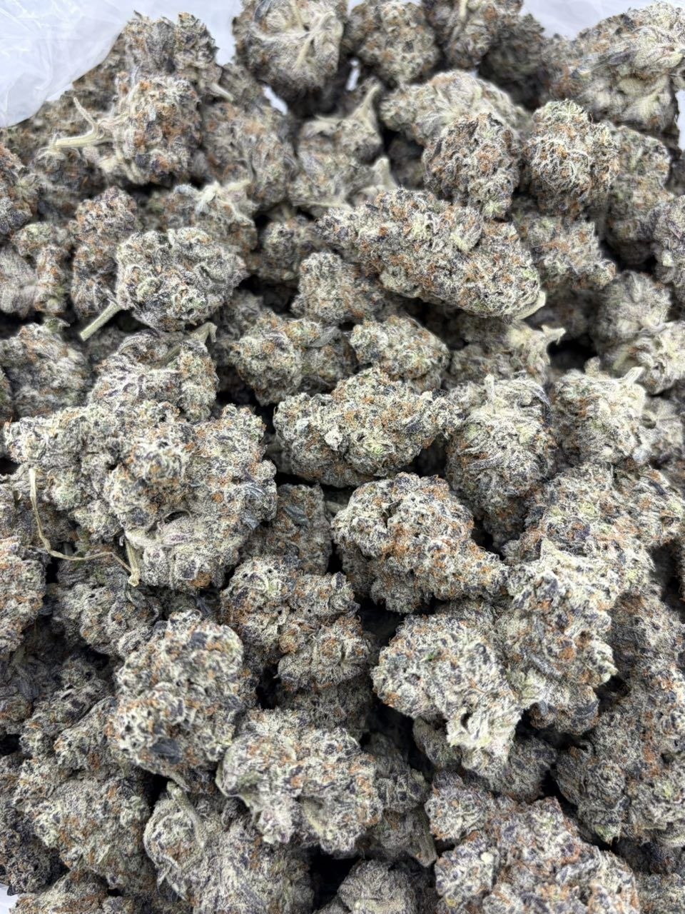 COOKIE CRISP INDOORS 🍪 - photo 2
