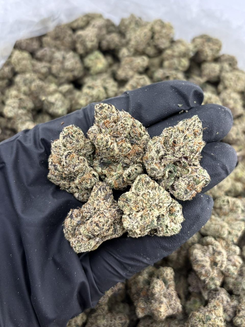 Cannabis for Sleep: A Natural Remedy for Insomnia