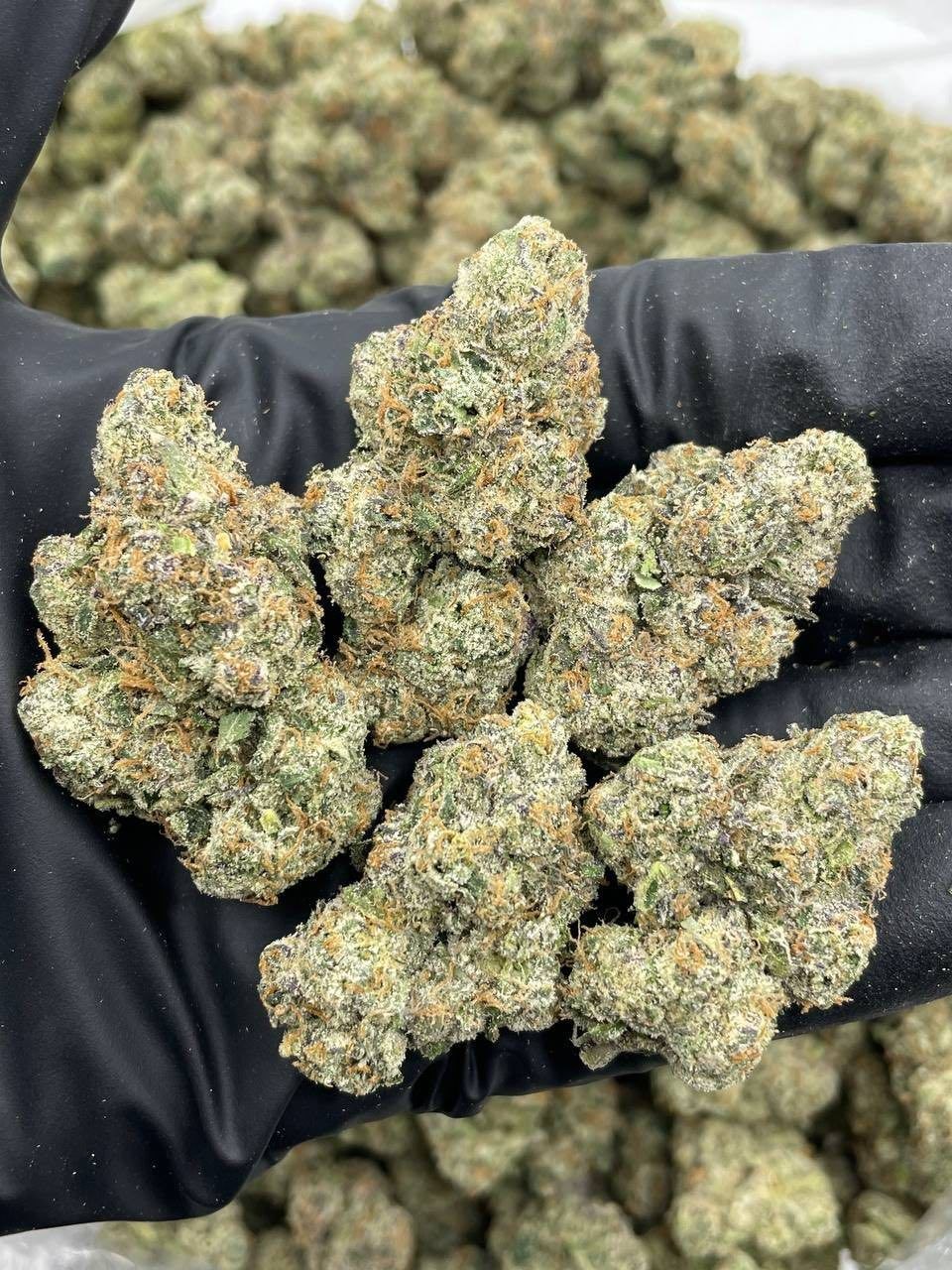 LIITT EXOTICS THC 🔥  - photo 2