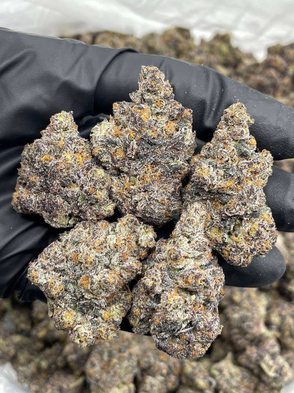 Cannabis and Sustainability: The Environmental Impact 2