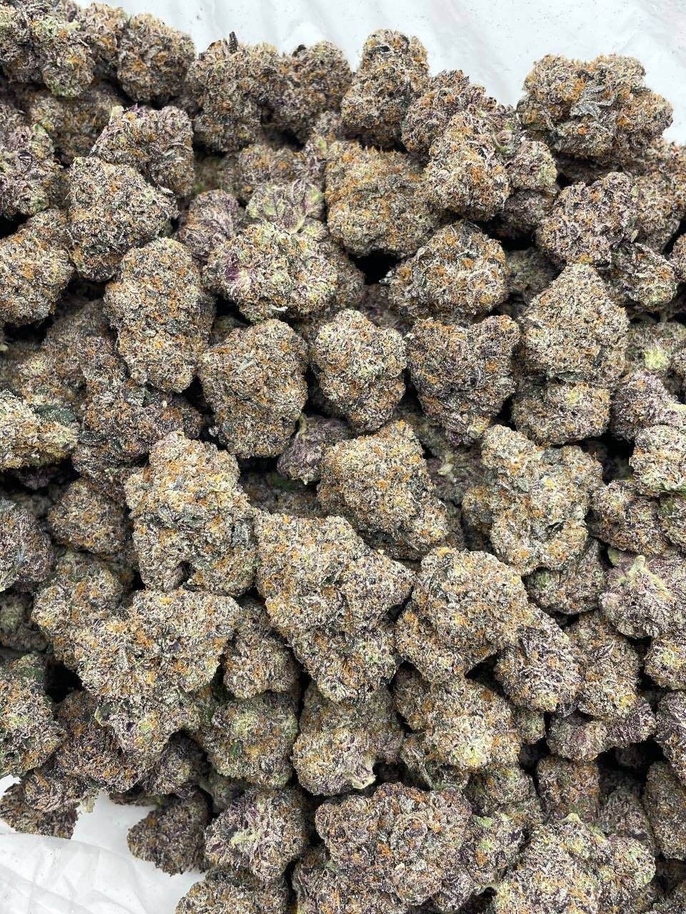 RASPBERRY AIRHEADZ - photo 2