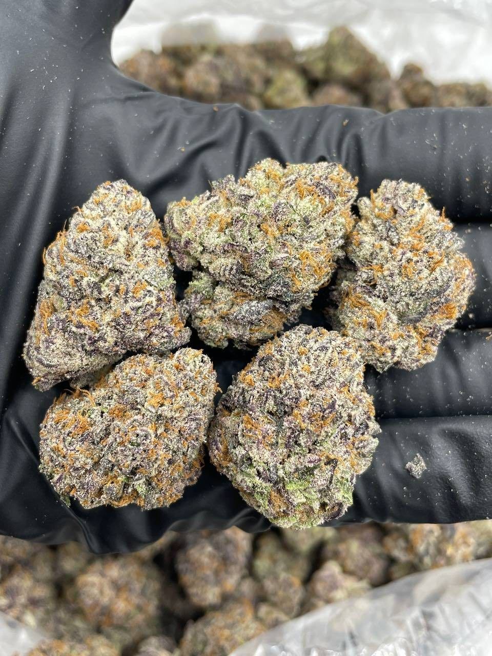 What Are Terpenes? The Complete Guide to Cannabis Aromatics 2