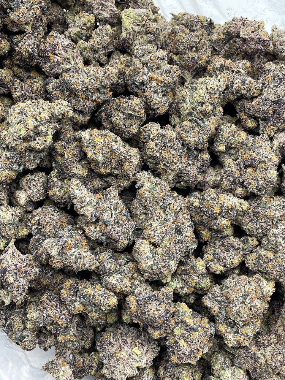 SOUR SHERBET INDOORS 🍭🍋 - photo 2