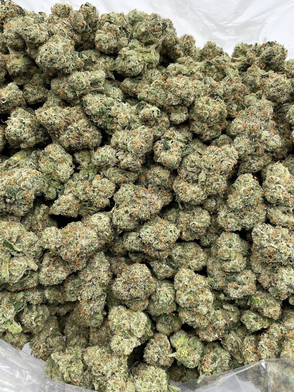 FF X GRAPE POP ROCKS INDOORS 🍇🍾 - photo 2