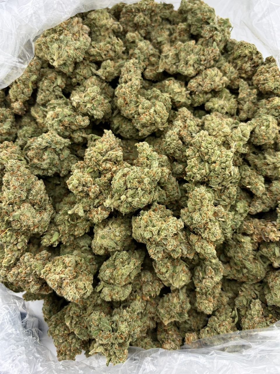 CANDY JACK INDOORS 🍭🍊 - photo 2